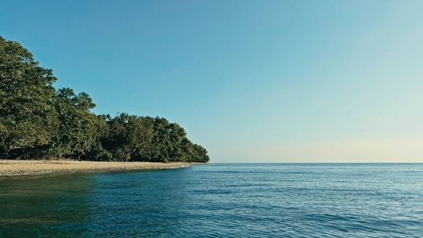 εναέριο κηφήνα εικόνα από ένα απομακρυσμένο νησί της Νοτίου Ειρηνικού ακτή αμμώδης παραλία και θάλασσα θαλασσινό τοπίο όμορφο ωκεανό και πολύβλαστο τροπικό τροπικό δάσος ζούγκλα - Φωτογραφία, εικόνα