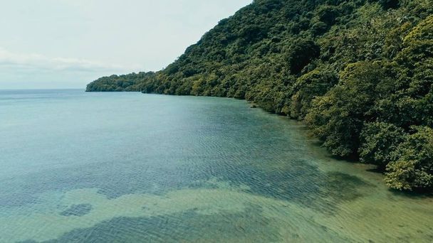 antenni drone kuva kauko etelään Tyynenmeren saari hiekkaranta ja kaunis valtameri merimaisema ja rehevä trooppinen sademetsä viidakko
 - Valokuva, kuva