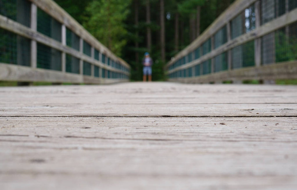 Most je zaměřena na borovicový les. Dřevěné patro mostu je v ostření, blízko. Makro - Fotografie, Obrázek