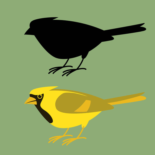 cardinal bird, vector illustration, flat style,profile  - Vector, Image