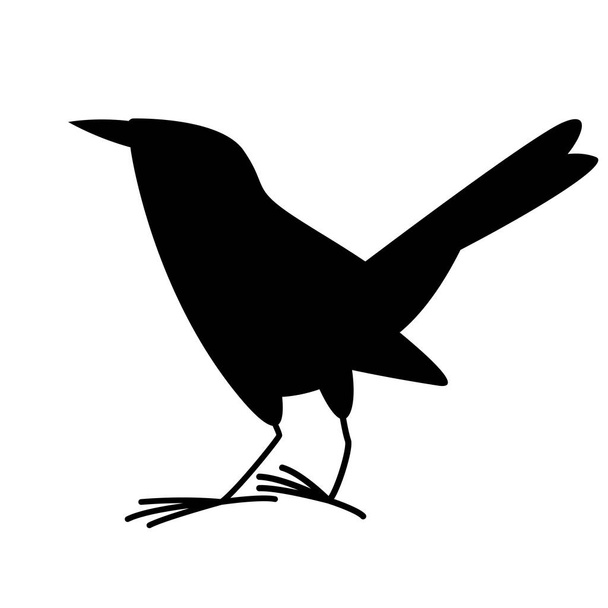 flycatcher bird, ilustração vetorial, silhueta preta, perfil
  - Vetor, Imagem