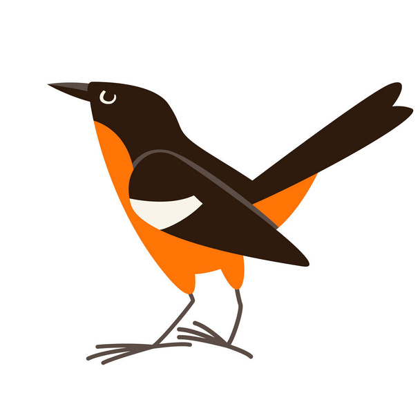 flycatcher bird, vector illustration, flat style,profile  - Vector, Image