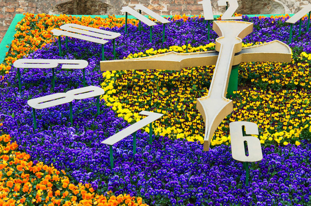 Stadtblumenuhr in lviv frühling und sommer in gelb-blauen farben - Foto, Bild