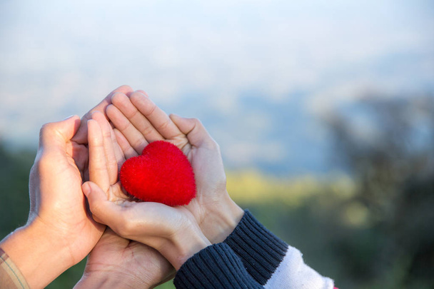 Piros szív, nő és a férfi kezét, a kezében egy lágy szív alakú, a pár szerelem, Valentin-napi gazdaság. - Fotó, kép