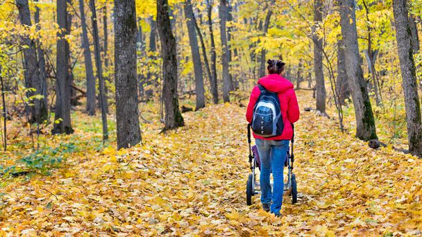 A young mother with a stroller walks through the autumn park. Walking with an infant in the open air in a pine forest. Newborn, family, child, parenthood. - Photo, Image