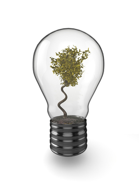 Tree in a light bulb - Photo, Image