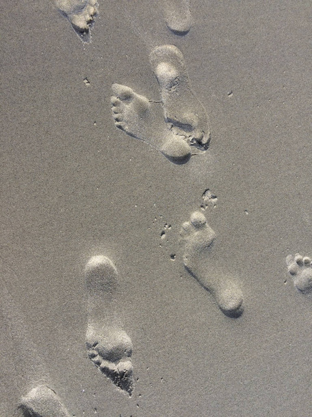 πατημασιές στην άμμο στην παραλία - Φωτογραφία, εικόνα