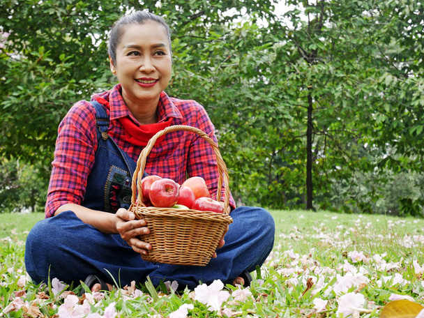Πορτρέτο του όμορφη γυναίκα ανώτερος χαμόγελο και εκμετάλλευση κόκκινο μήλο στον κήπο. - Φωτογραφία, εικόνα