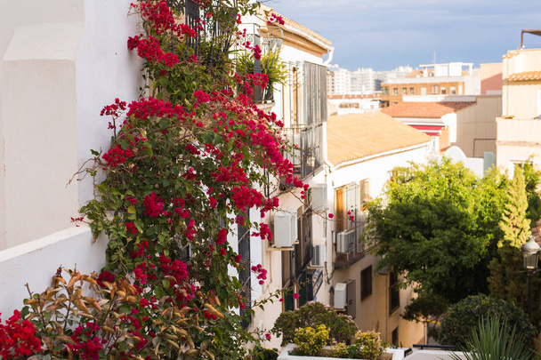 Ontwerp, architectuur en buitenkant concept-Spanje het platform. Bloeiende klimop met rode bloemen op de muur van een huis. - Foto, afbeelding