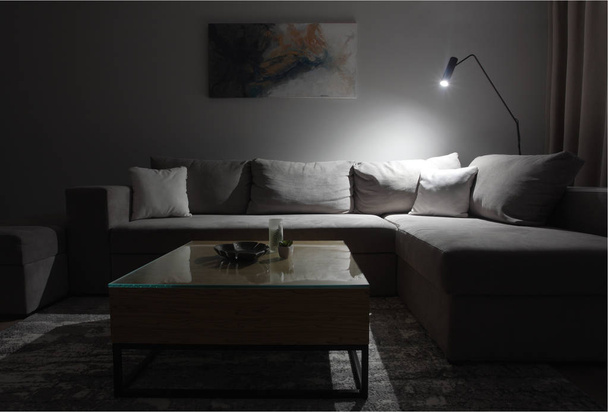 Сірий кутовий диван з трьома подушками, що стоять у світлому інтер'єрі вітальні з живописом та килимом. Драматична блискавка
. - Фото, зображення