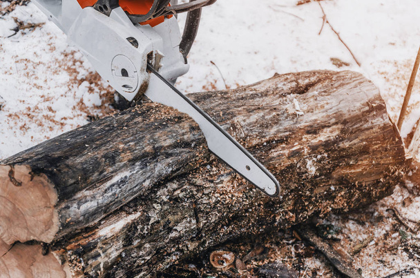 Kettingzaag zaag snijdt een logboek in het forest. Bos clearing, boom snijden, ecologie. - Foto, afbeelding