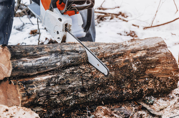 Il boscaiolo maschio taglia un tronco in foresta con una motosega. Sgombero delle foreste, taglio degli alberi, ecologia. Risorse della Terra
. - Foto, immagini