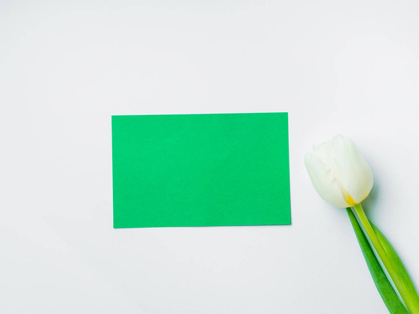 Mothers day greeting card with tulip - Zdjęcie, obraz