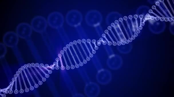 Вращающаяся молекула ДНК светится на голубом фоне. 3D рендеринг зацикленная анимация. Генетическая концепция. 4K видео
 - Кадры, видео