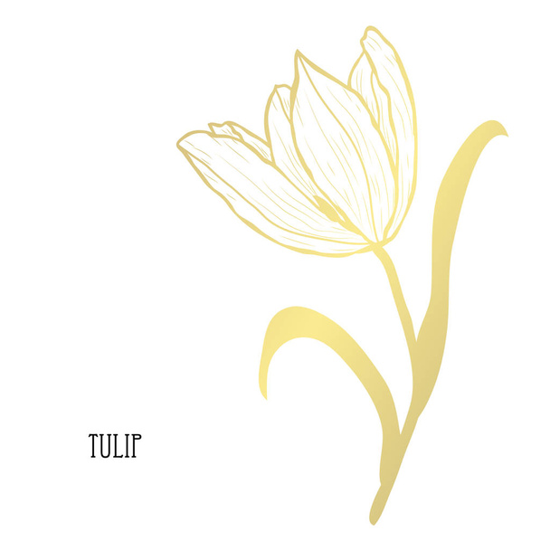 Decorative tulip flower, design element. Can be used for cards, invitations, banners, posters, print design. Golden flower - Wektor, obraz