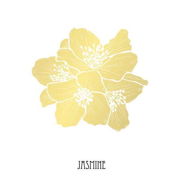 Decorative jasmine flowers, design elements. Can be used for cards, invitations, banners, posters, print design. Golden flowers - Vector, afbeelding