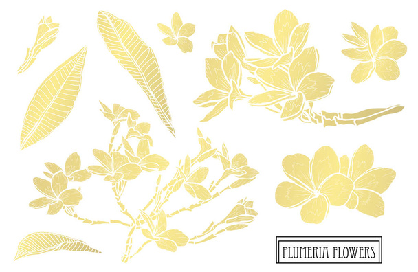 Decorative plumeria flowers, design elements. Can be used for cards, invitations, banners, posters, print design. Golden flowers - Vektori, kuva