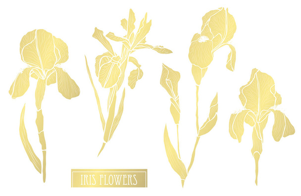 Decorative iris flowers, design elements. Can be used for cards, invitations, banners, posters, print design. Golden flowers - Wektor, obraz