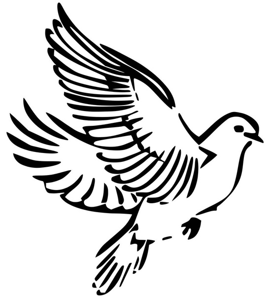 free dove vector illustration - Vektor, Bild