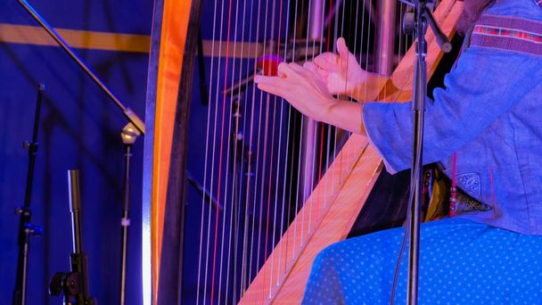 Unrecognizable woman playing harp on stage of ethnic open air concert - Photo, Image