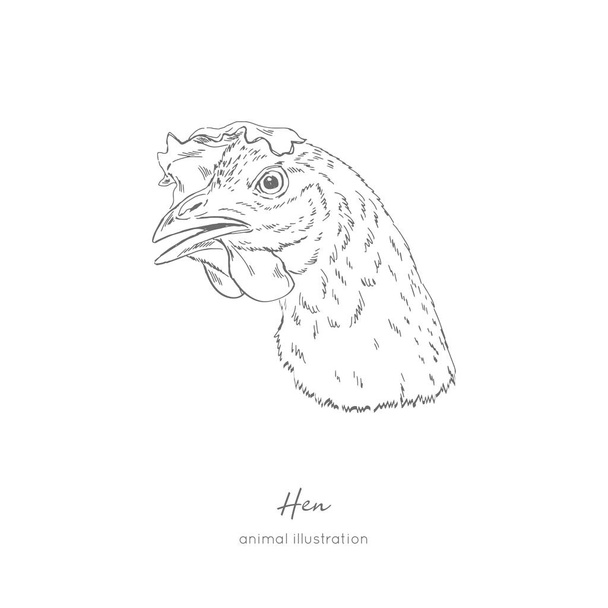 Side view Vector portrait illustration of hen bird - Διάνυσμα, εικόνα