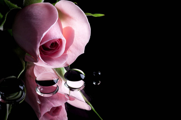 rose with dew drops - Valokuva, kuva