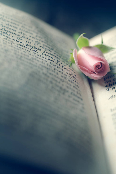 Libro viejo con rosa  - Foto, Imagen