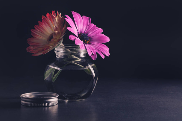 gerbera flowers in glass jar - Foto, afbeelding