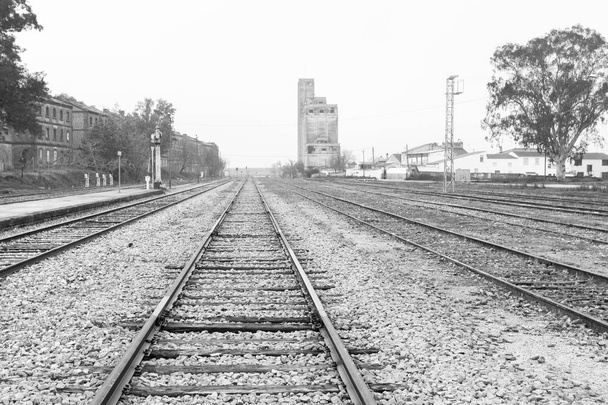 Railroad tracks at Arroyo Malpartida train station. Extremadura. Spain. - Photo, Image