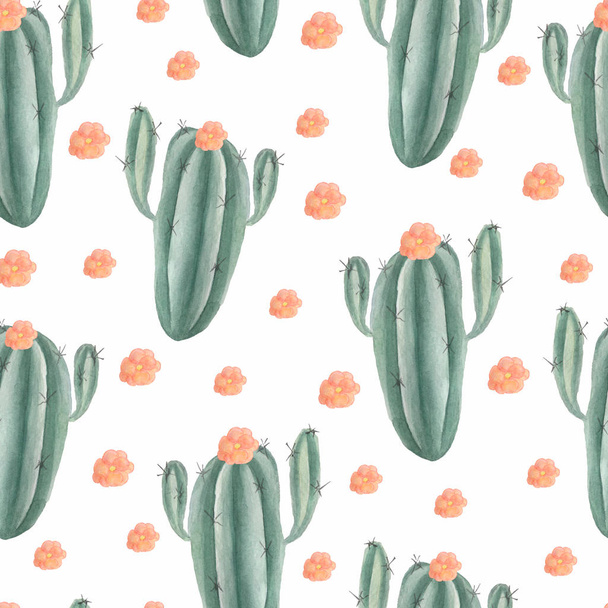 Seamless pattern with watercolor hand painted exotic cactus.  tropic succulents and green plants. Mexican style background perfect for fabric textile and wrapping paper - Φωτογραφία, εικόνα