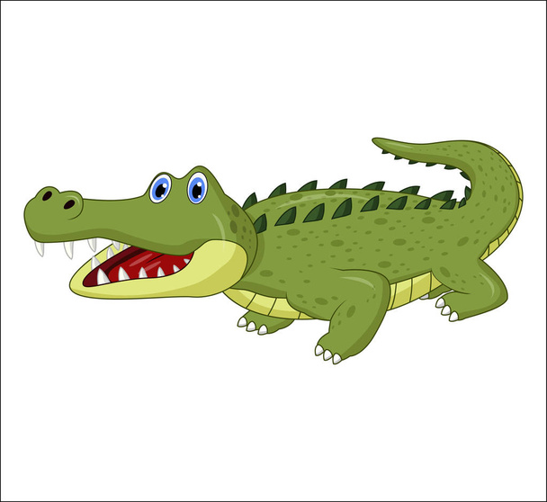 Cartoon coccodrillo isolato su sfondo bianco - Vettoriali, immagini