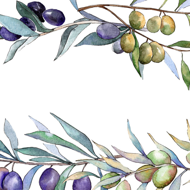 Olives vertes et noires. Ensemble d'illustration de fond aquarelle. Cadre bordure ornement carré
. - Photo, image