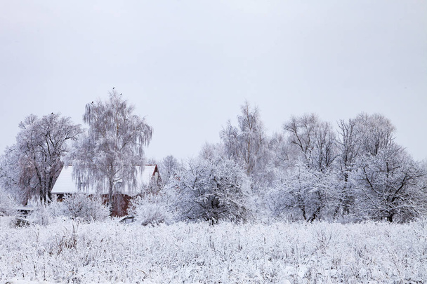 View of the outskirts of the village after a snowfall. - Фото, зображення