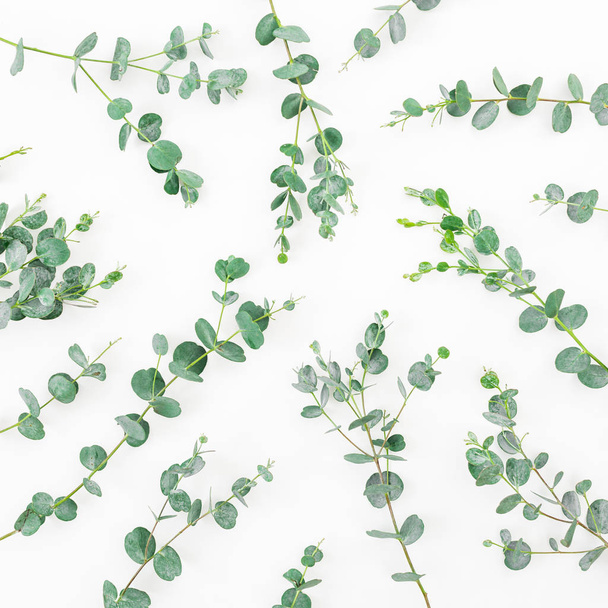 Blumenmuster mit Eukalyptusblättern auf weißem Hintergrund. flache Lage, Draufsicht - Foto, Bild