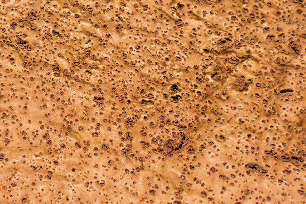 Untreated naturally cork panel background, quercus suber - Φωτογραφία, εικόνα