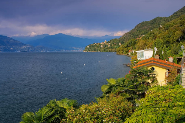 北イタリアのLago Maggiore湖のPino sulla Sponda del Lago Maggiore - 写真・画像