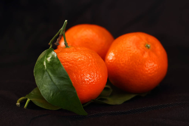 trois mandarines avec une feuille
 - Photo, image