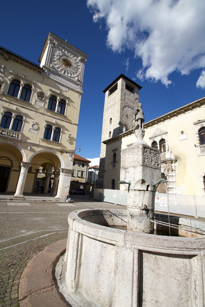 Palazzo dei Rettori and Torre Civica, important buildings in the Dolomites city of Belluno - Photo, Image