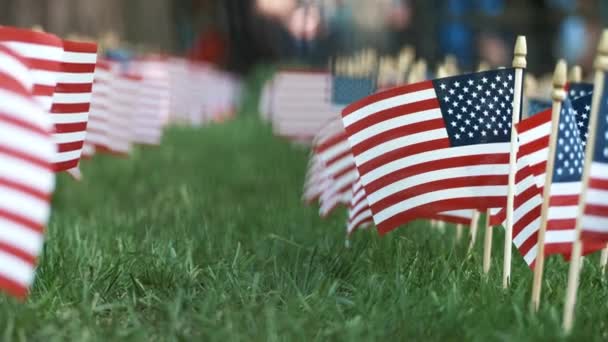 Americké vlajky na trávě v den nezávislosti - Záběry, video