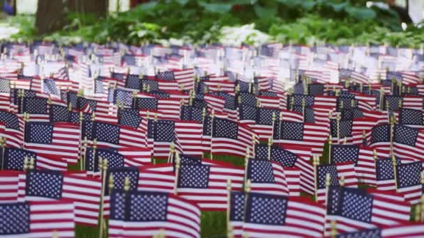 Amerykańskiej flagi na Memorial day w parku - Materiał filmowy, wideo