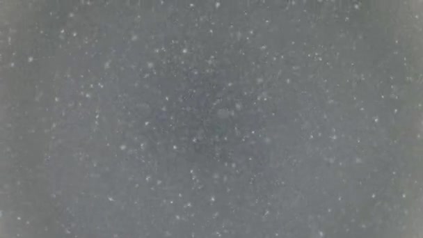 Falling snow flakes on grey sky - Footage, Video