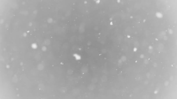 Fehér nagy hópelyhek zuhan - Felvétel, videó