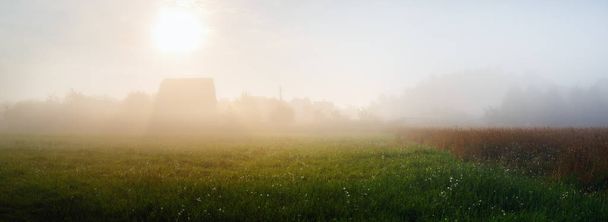 Πεδίο που κρύβονται στην ομίχλη. Ομίχλη νωρίς το πρωί. Σιλουέτες των δέντρων στην πρωινή ομίχλη. Πανοραμικό στιγμιότυπο. - Φωτογραφία, εικόνα