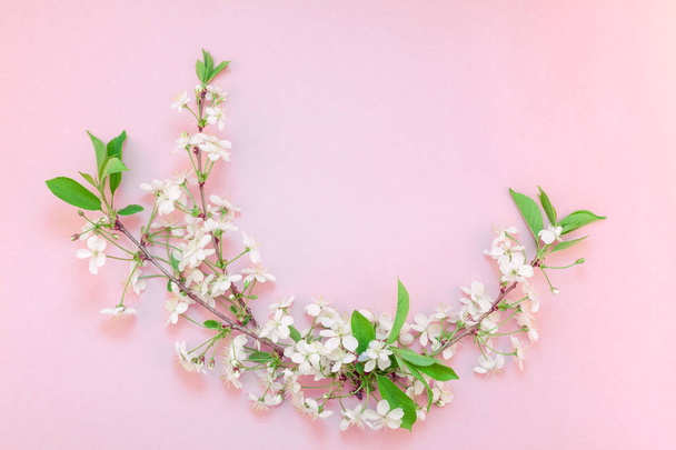Creative top view cherry tree blooming flowers brunch frame on millennial pink background with copy space in minimal style, template for lettering, text or your design - 写真・画像