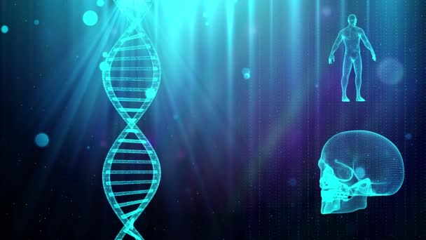 Orvosi háttér DNS strand koponya és az emberi test - Felvétel, videó