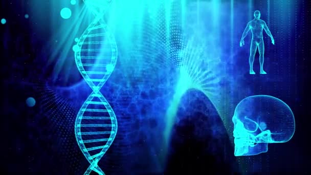 Sfondo medico con DNA teschio filamento e corpo umano
 - Filmati, video