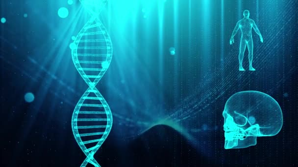 Медицинское образование с ДНК черепа и человеческого тела
 - Кадры, видео