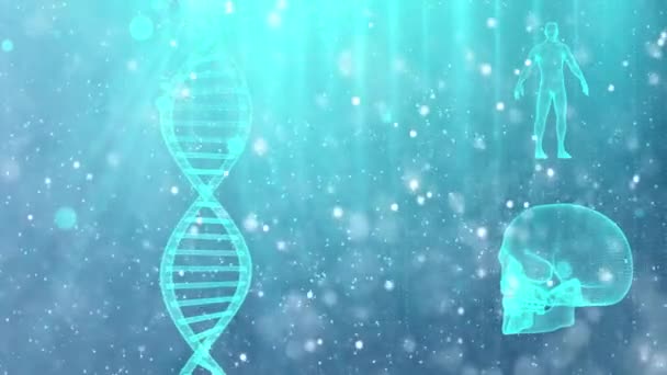 medizinischer Hintergrund mit DNA-Strang Schädel und menschlichem Körper - Filmmaterial, Video