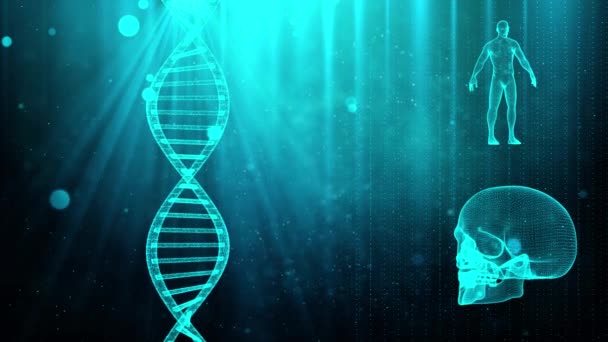 Orvosi háttér DNS strand koponya és az emberi test - Felvétel, videó