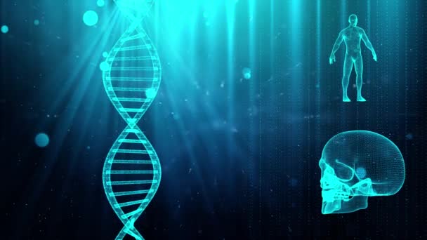 Sfondo medico con DNA teschio filamento e corpo umano
 - Filmati, video